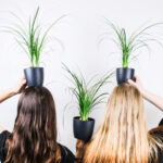 老化の原因の【活性酸素】で白髪が増える？実際に髪の毛への影響は？